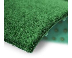 FLOORDIREKT Gazontapijt Farbwunder - Groen - Ideaal voor Balkon en Terras - 67 x 150 cm