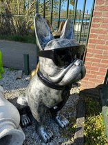 Gebit van Franse Bulldog: onderhoud en gezondheid