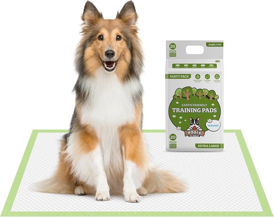 Extra grote honden trainingspads – 60x90 cm, superabsorberend, 20 stuks