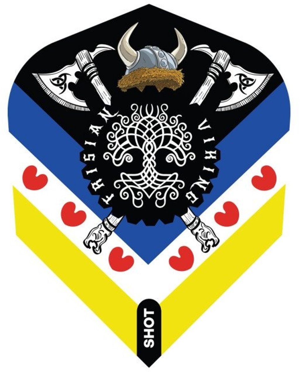 Shot Jitse van der Wal NO6 - Dart Flights