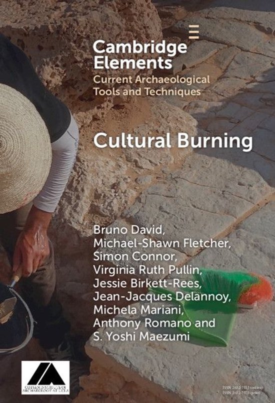 Elements in Current Archaeological Tools and Techniques - Cu ... - cover