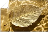 Gouden blad op wateroppervlak - Blad tuinprint - Tuinmuurdecoratie natuur - Hyperrealisme - Buitenschilderij schutting - Posters tuin - Tuinposter 45x30 cm