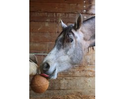 Unika Balls Endurance