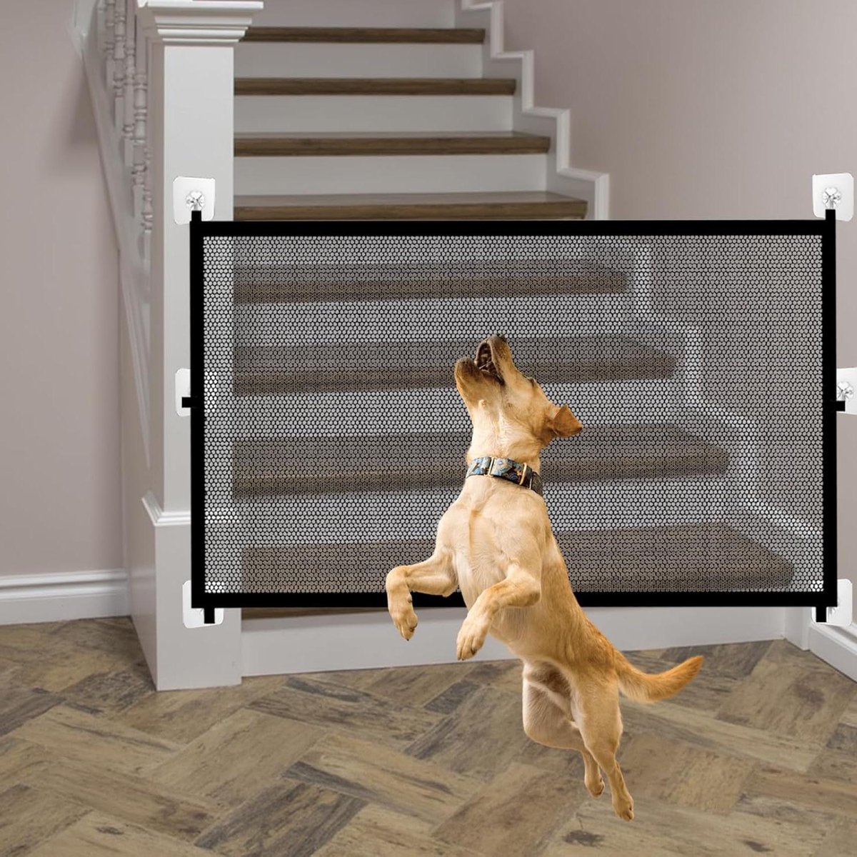 Allecto Plus - Set van 8 Geharde Horloge Cases voor Bescherming van Scherm en Behuizing