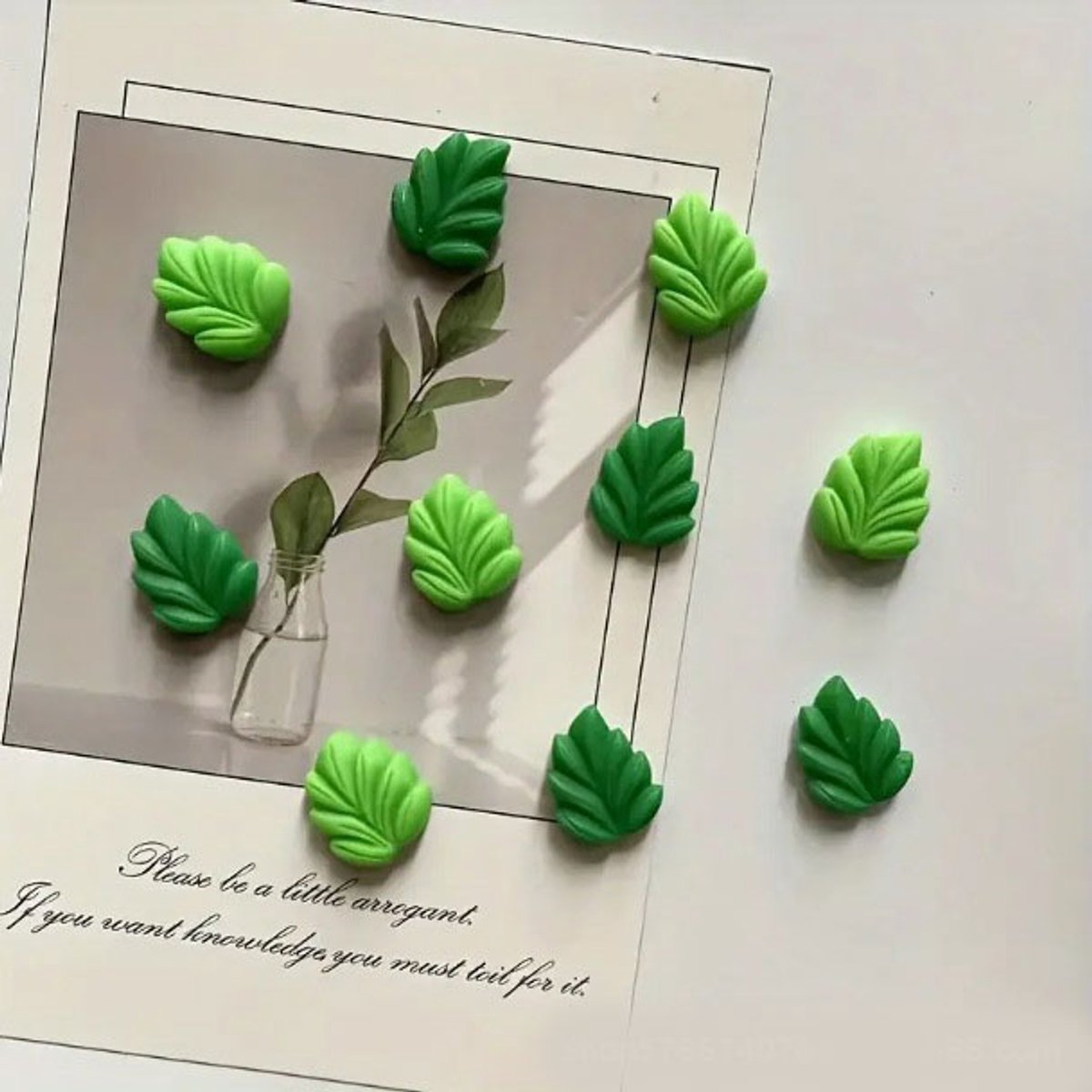 TLVX 10 stuks 3D Groene Bladeren Magneten / Leuke Koelkast Magneten / Foto Magneet / Herfst Whiteboard Magneten / Boom Magneten / Natuur / School / Boodschappenlijst / Notitie / Memo bord / Kantoor / Schoolbord / Magnetisch / Kleur Magneetjes