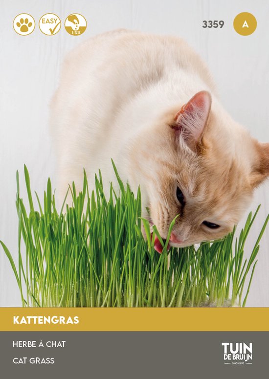 Tuin de Bruijn® zaden - Kattengras - 15 gram