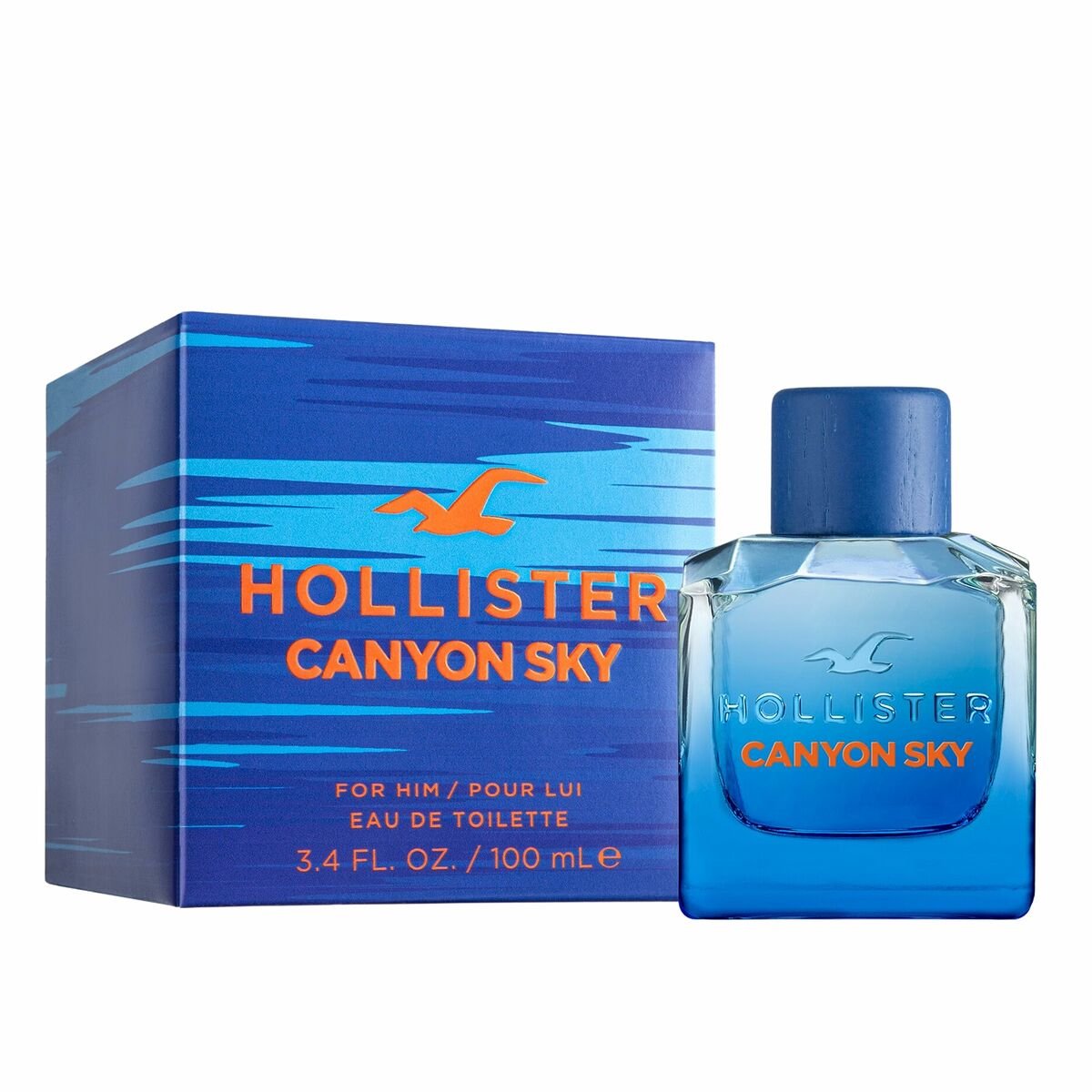 Goedkoopste Herenparfum Hollister Canyon Sky EDT 100 ml