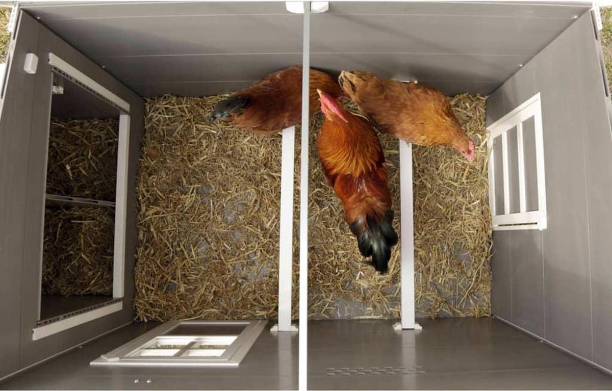 Kerbl Gertenhouder – Kunststof, 31x4x9 Cm – Voor 11 Gereedschappen – Eenvoudig Te Monteren Met 4 Voorgeboorde Gaten – Compact En Praktisch
