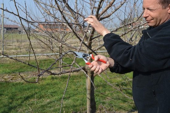 Duurzaam&Mi - Tuinschaar - knipdiameter 25 mm - lengte 210 mm - snoeischaar - voor rechtshandigen- tuin - tuinieren - Takjes - boompjes - knippen - handig van Merkloos	 — afbeelding 5
