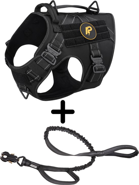 Harnais pour chien noir avec accents réfléchissants et une laisse assortie, blanche avec des rayures réfléchissantes.