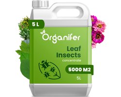 Leaf Insects Bladinsecten Concentraat (5L, 5000m2) - Bladluis – Buxusrups – Geschikt voor wolluizen, spint, anri-rupsen, bladluizen, taxuskever, witte vlieg, trips en andere bladinsecten – Organifer