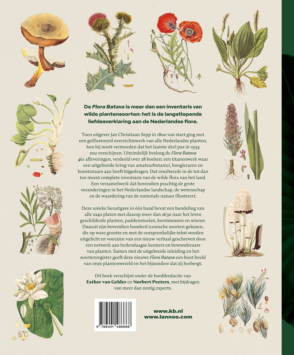 Flora Batava 1800-1934 - back cover
