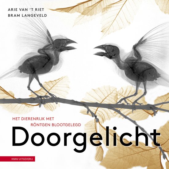 Doorgelicht - cover