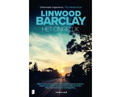 Omslag van Het ongeluk