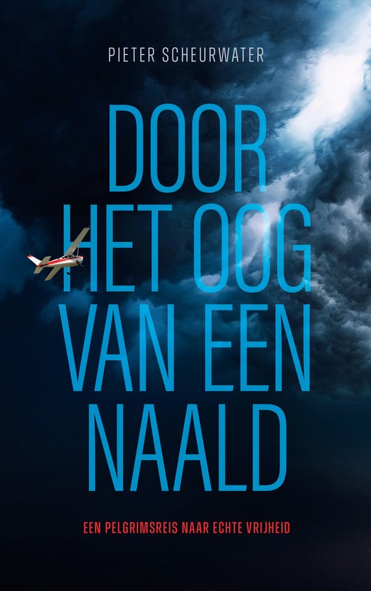 Door het oog van een naald - cover