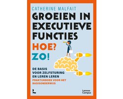 Groeien in executieve functies. Hoe? Zo!