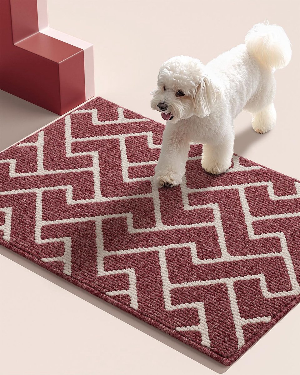 Ibenzoa Multifunctionele Vuilopvangmat voor Binnen en Buiten met Antislip Eigenschappen rood