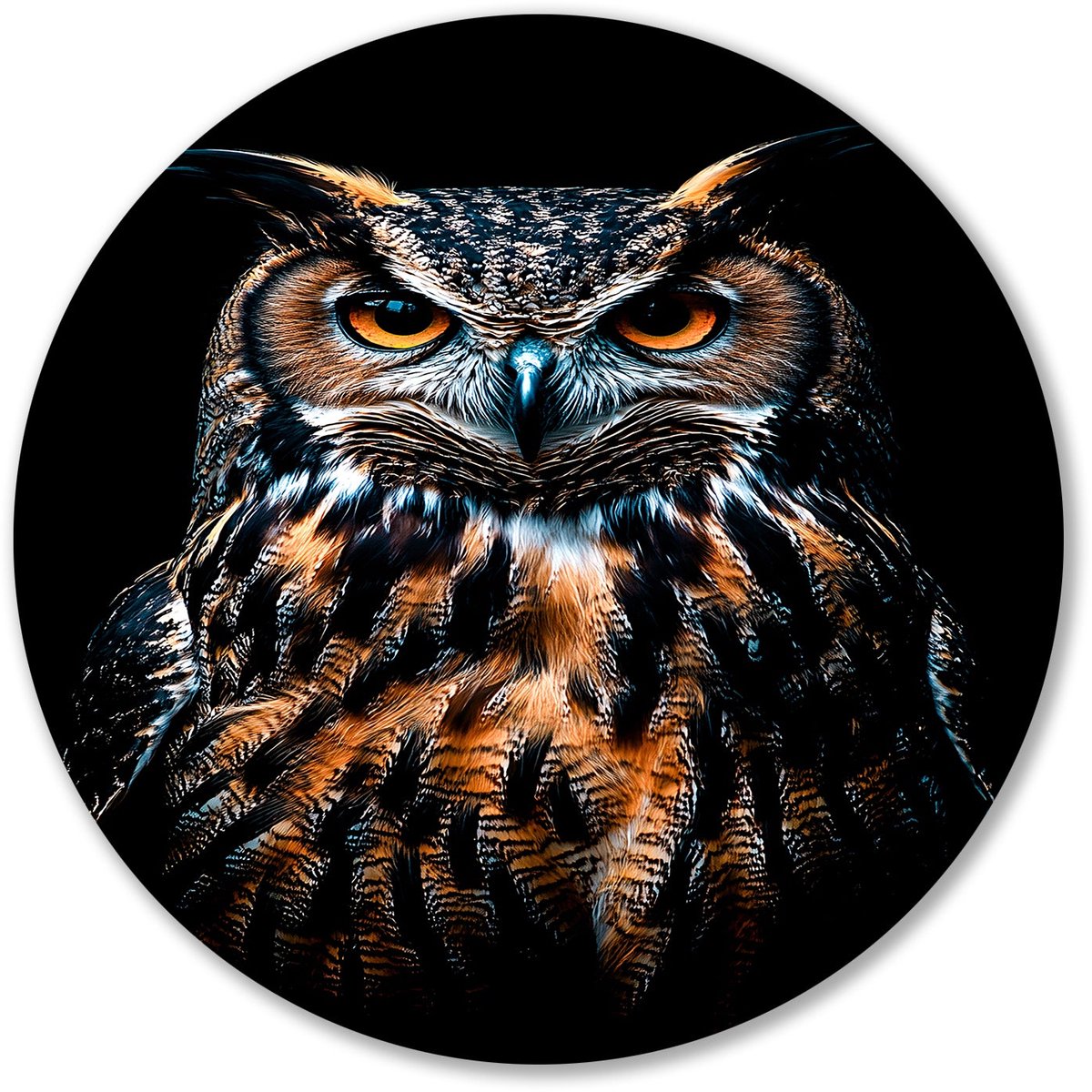 Uil schilderij met realistische details - Uil rond schilderij - Ronde wandprint dieren - H