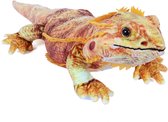 PIA Soft Toys - Pluche Knuffeldier Baardagaam - 60 cm