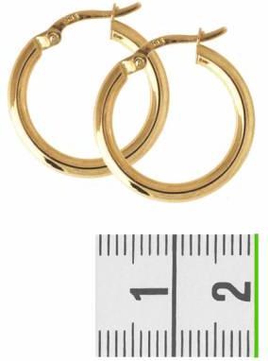 Van Dam Juwelier Gouden oorringen ronde buis 4018330