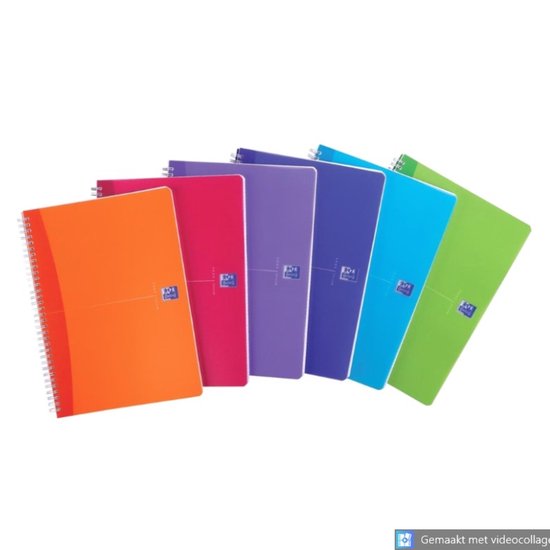 Conquérant Classique - Cahier polypro - 24 x 32 cm - 48 pages - grands carreaux (seyès