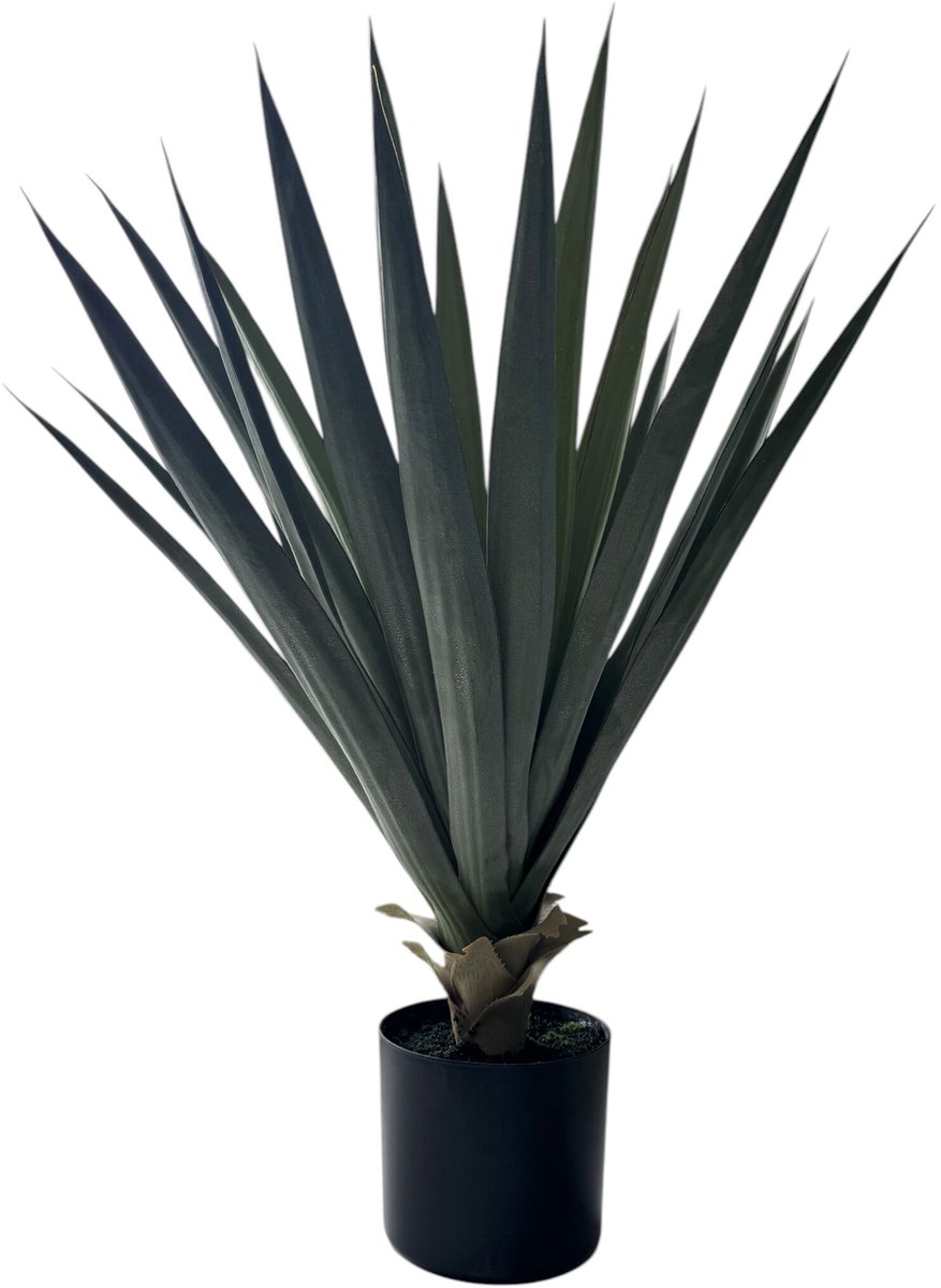 HEM Kunstplant Sisal – 75 cm – Realistische Nepplant met Pot – Onderhoudsvrije Groene Kamerplant – Moderne Decoratie voor Binnen