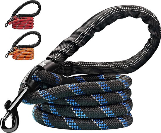 TAIAN 10 FT Strong Dog Leash – 1 Inch Wide Nylon Leash For Small, Medium & Large Dogs