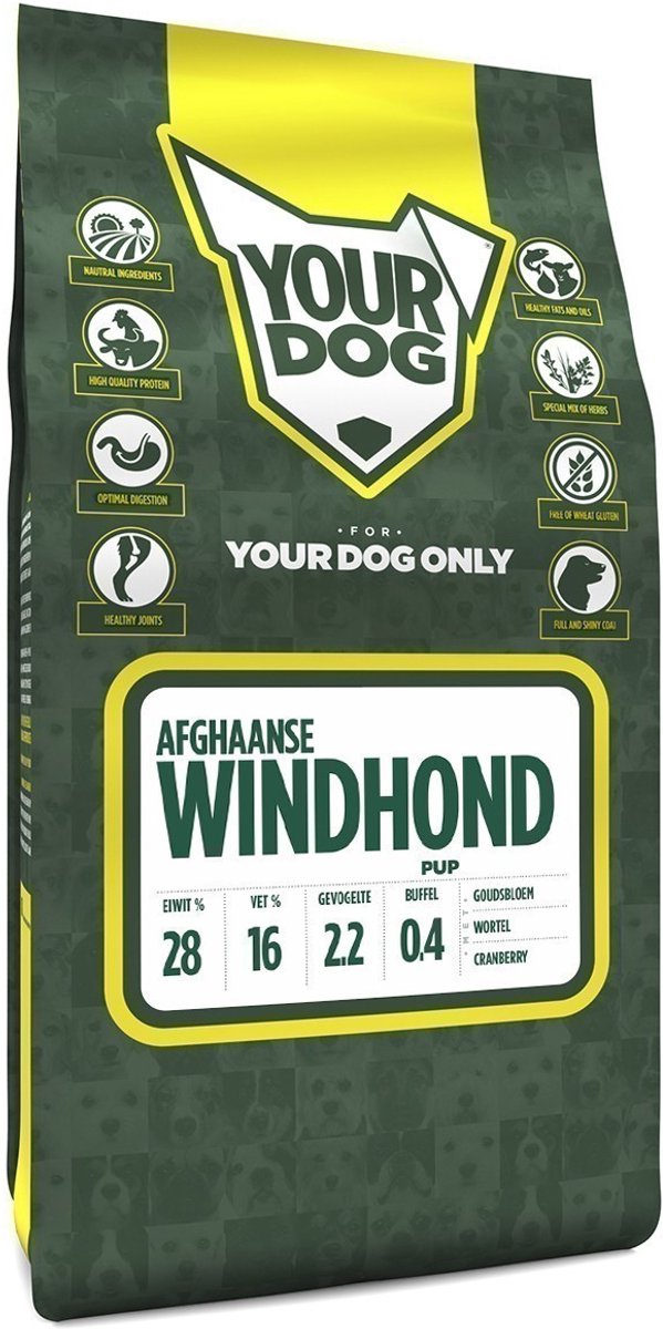 Yourdog afghaanse windhond pup - 3 KG