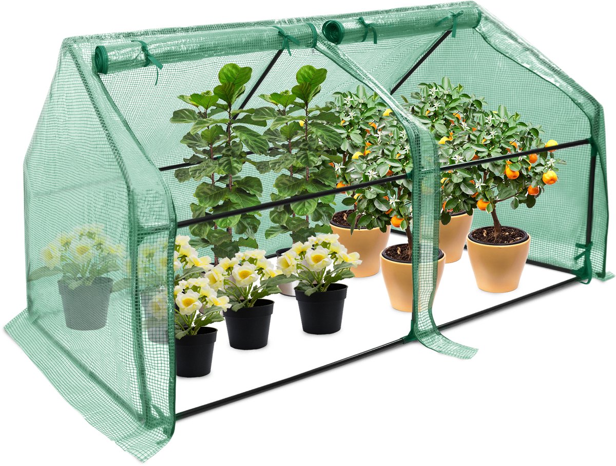 NAIZY Serre Folie kas 180x90x90cm Tuinkassen met deur Kas Tomatenkas Tomatenhuis voor tuin balkon, groen