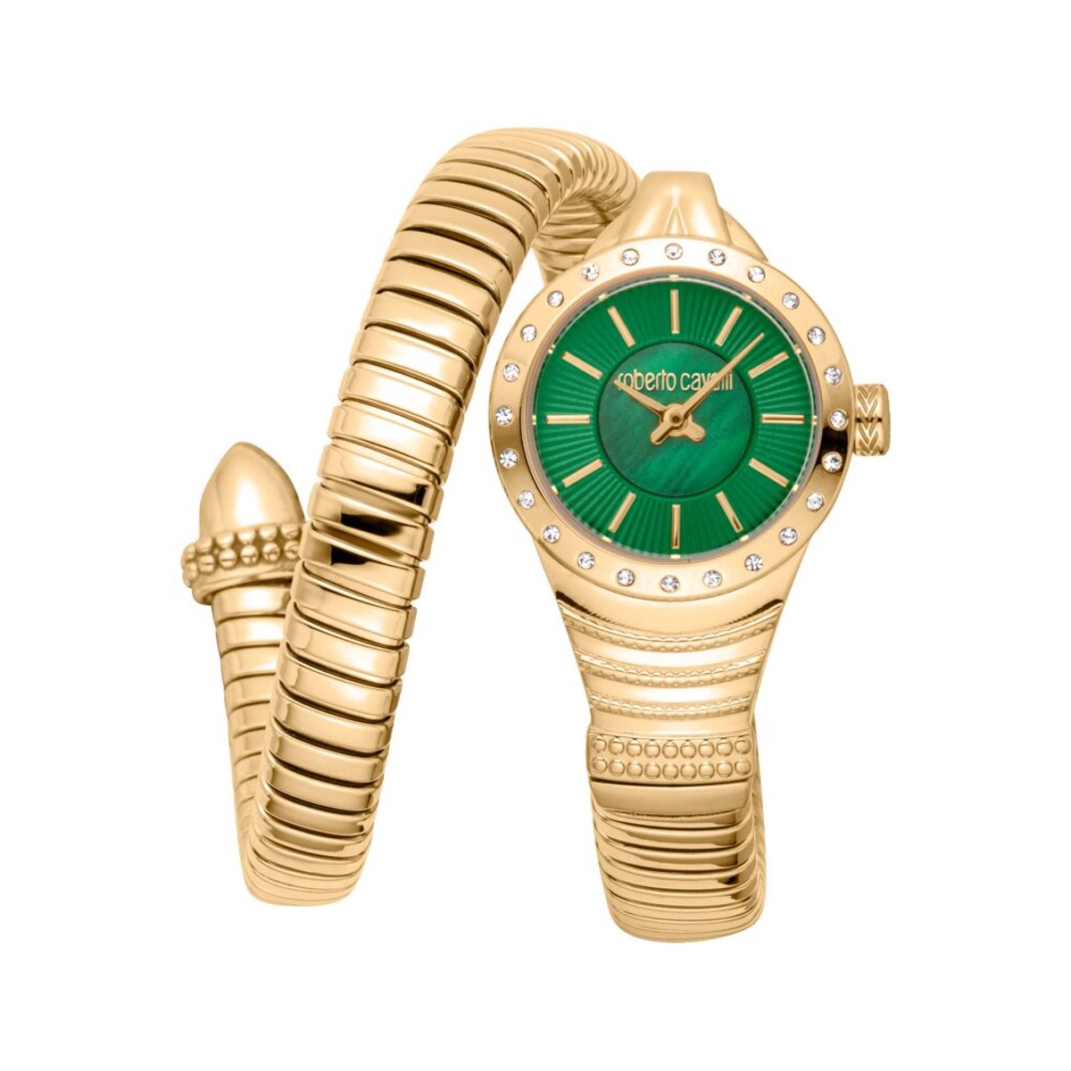 Roberto Cavalli - RC5L114M0035 - Horloge - Vrouw