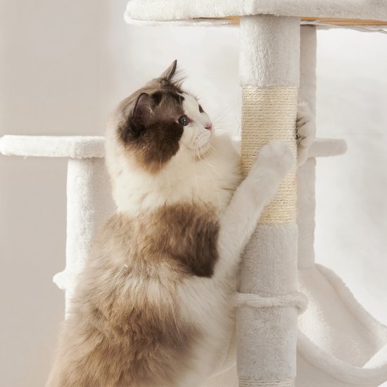 Grand chat à fourrure brune et blanche se griffe sur un arbre à chat blanc.