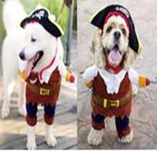 Carnavalspak voor de hond als piraat | bol.com