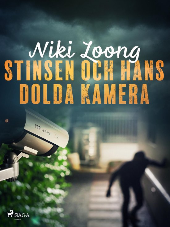 Stinsen och hans dolda kamera - cover