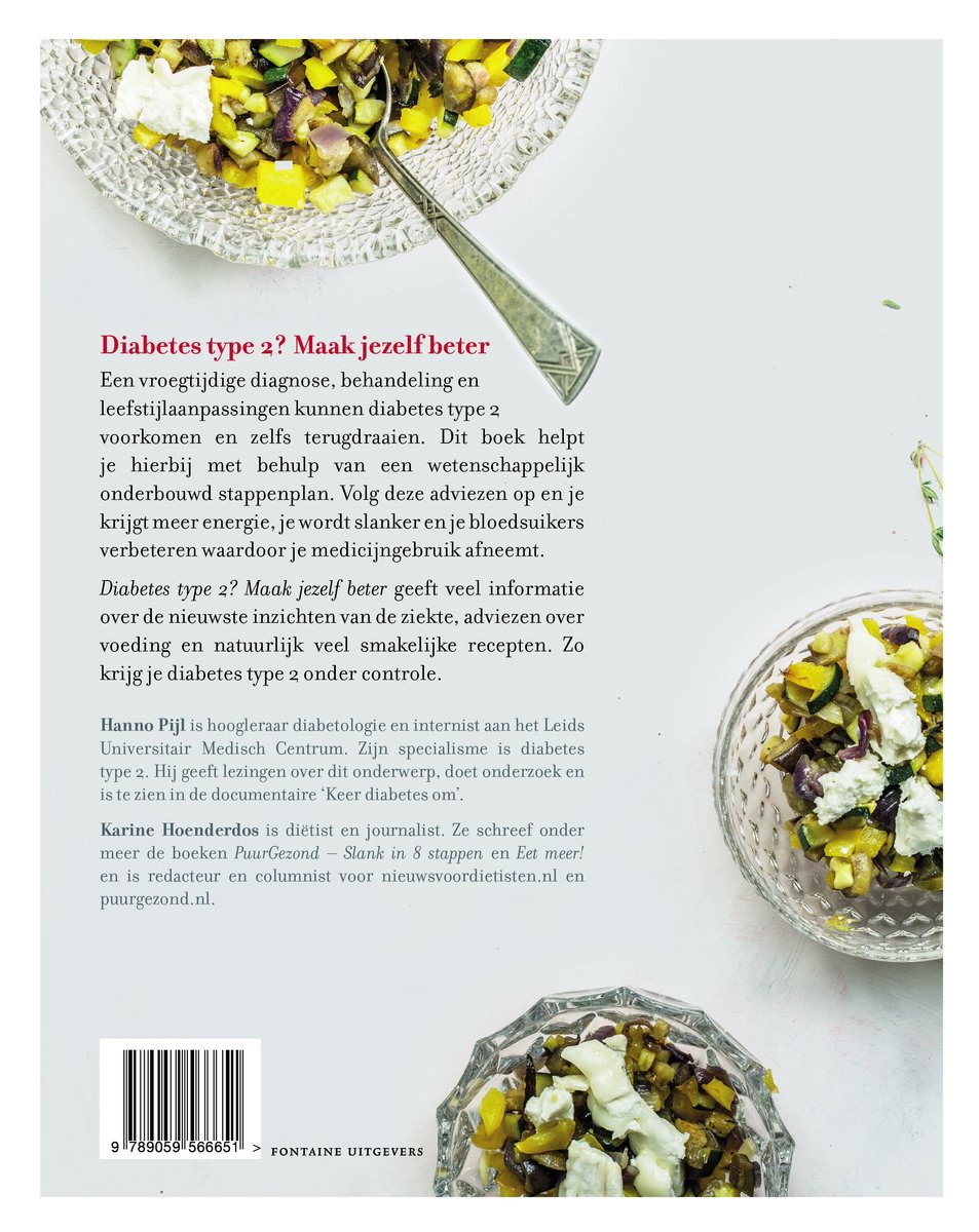 Diabetes type 2? Maak jezelf beter! - back cover