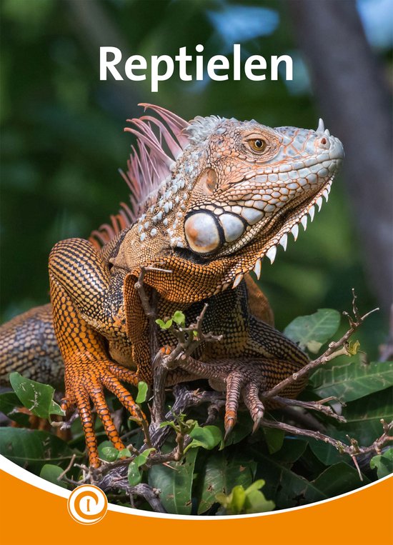 Informatie 203 - Reptielen