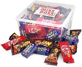Mélange de chocolat Nestlé Miniatures - 56 pièces - Lion, KitKat et Smarties - mini chocolat - 925 g