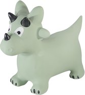 Kindsgut - Skippydier - Dino - Hoge kwaliteit skippybal dier - Inclusief luchtpomp - Speelgoed 2 jaar