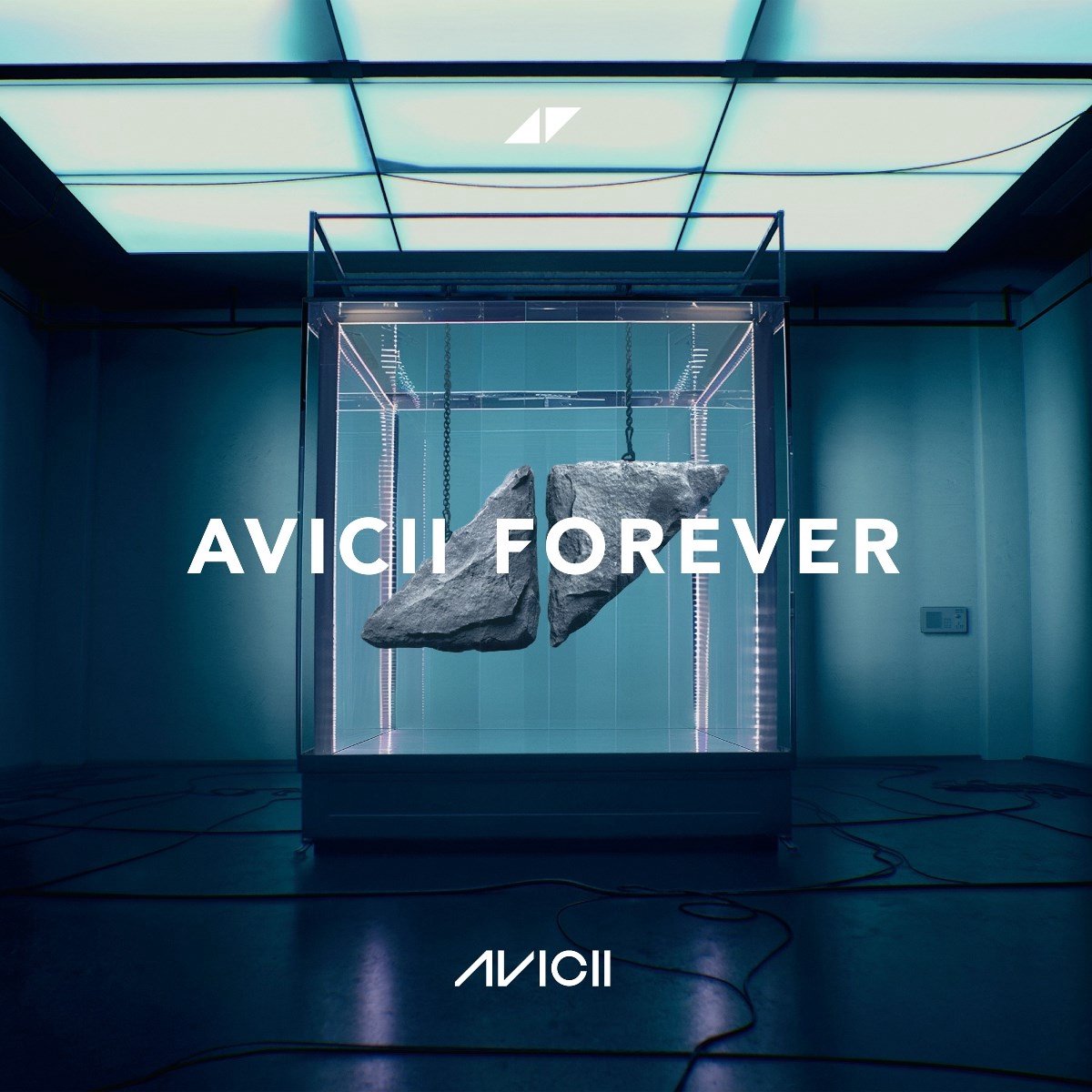 Avicii - Avicii Forever (2 LP), Avicii | Muziek | bol