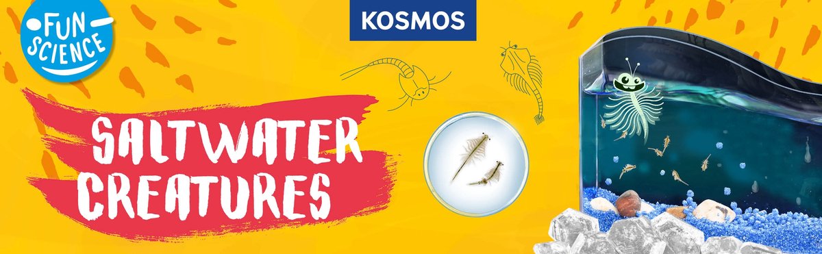 KOSMOS Saltwater Creatures - Experimenteerset - Kweek Je Eigen Pekelkreeftjes - Complete Kweekset met Aquarium, Vergrootglas en Decoratie - Ontdek Levend Waterleven - STEM Speelgoed - Vanaf 8 Jaa — afbeelding 5