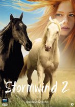 Stormwind 2 (DVD)