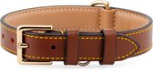 Brute Strength - Luxe leren halsband hond - Bruin - M - (36 - 43 cm) x 2,5cm - honden halsband - hondenhalsband - halsband hond leer - leren honden halsband - stoere honden halsband - leren hondenhalsband - leren halsband hond