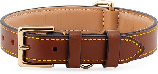Brute Strength - Luxe leren halsband hond - Bruin - M - (36 - 43 cm) x 2,5cm - honden halsband - hondenhalsband - halsband hond leer - leren honden halsband - stoere honden halsband - leren hondenhalsband - leren halsband hond