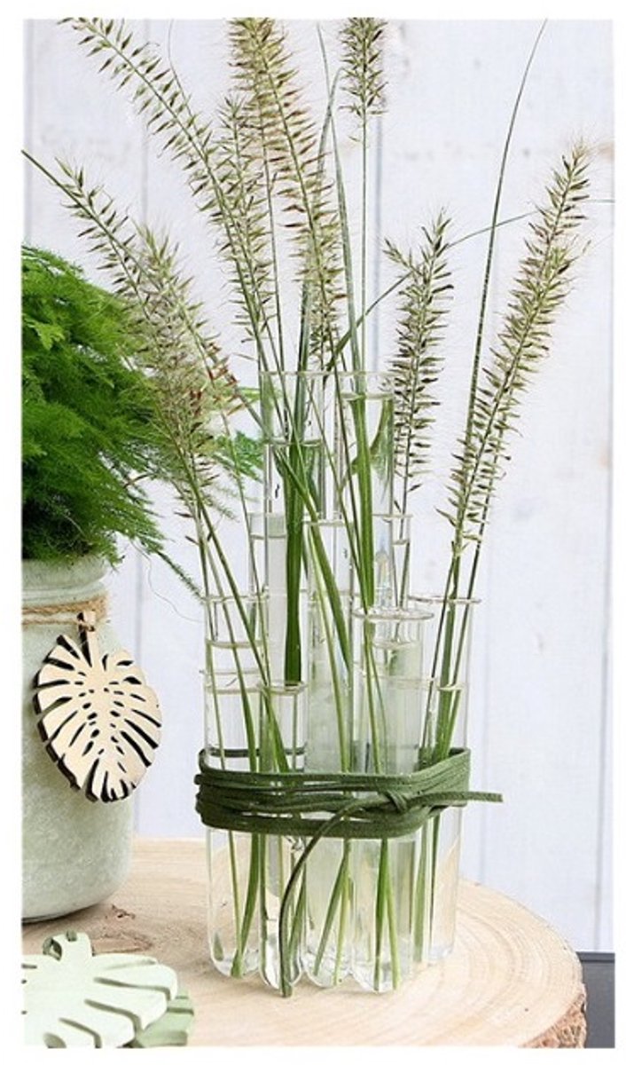 Goedkoopste Glazen reageerbuis met ring 20x200 mm - 12 st