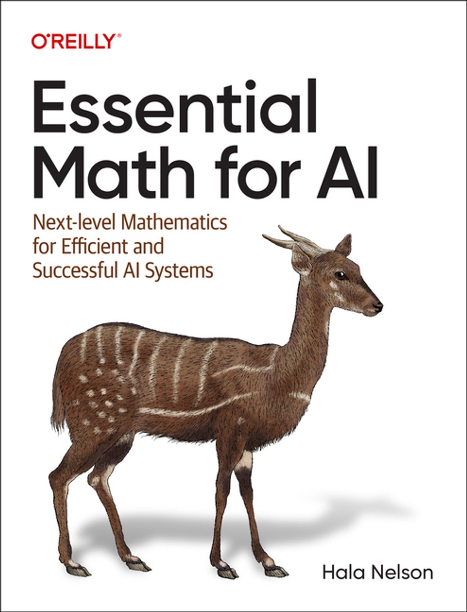 Omslag van Essential Math for AI
