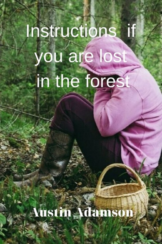 instructions if you are lost in the forest - cover