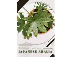 Japanese Aralia