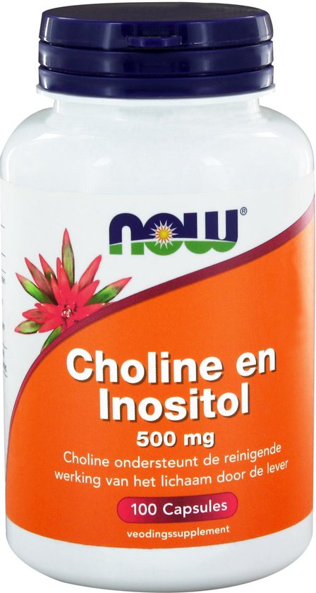 Now Foods - Choline en Inositol - 250 mg Choline en 250 mg Inositol per dosering - 100 Capsules