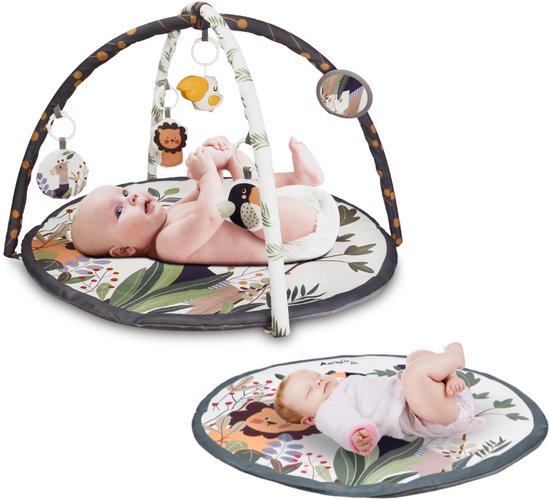Mobiclinic Dreamland - Activiteitenmat - Speelmat - Babygym - 5 speelgoed - 2 bogen - Speelkleed - Veel zintuiglijke activiteiten - Eenvoudige montage - Grijs
