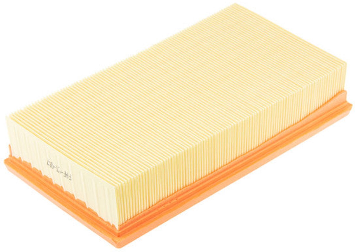 Luchtfilter OEM 9800097580