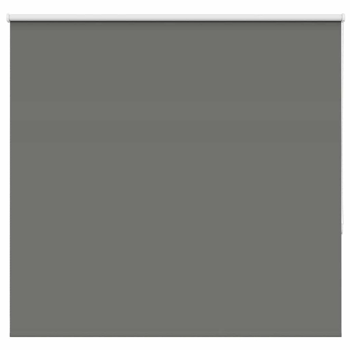 vidaXL - Rolgordijn - verduisterend - 145x150 - cm - stofbreedte - 141,6 - cm - grijs